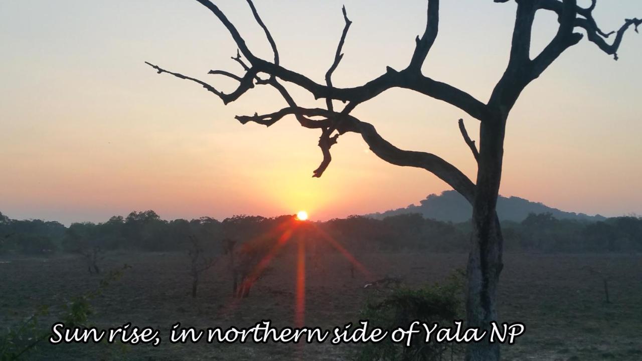 Yala Avian Eye Safari Appartement Buttala Buitenkant foto