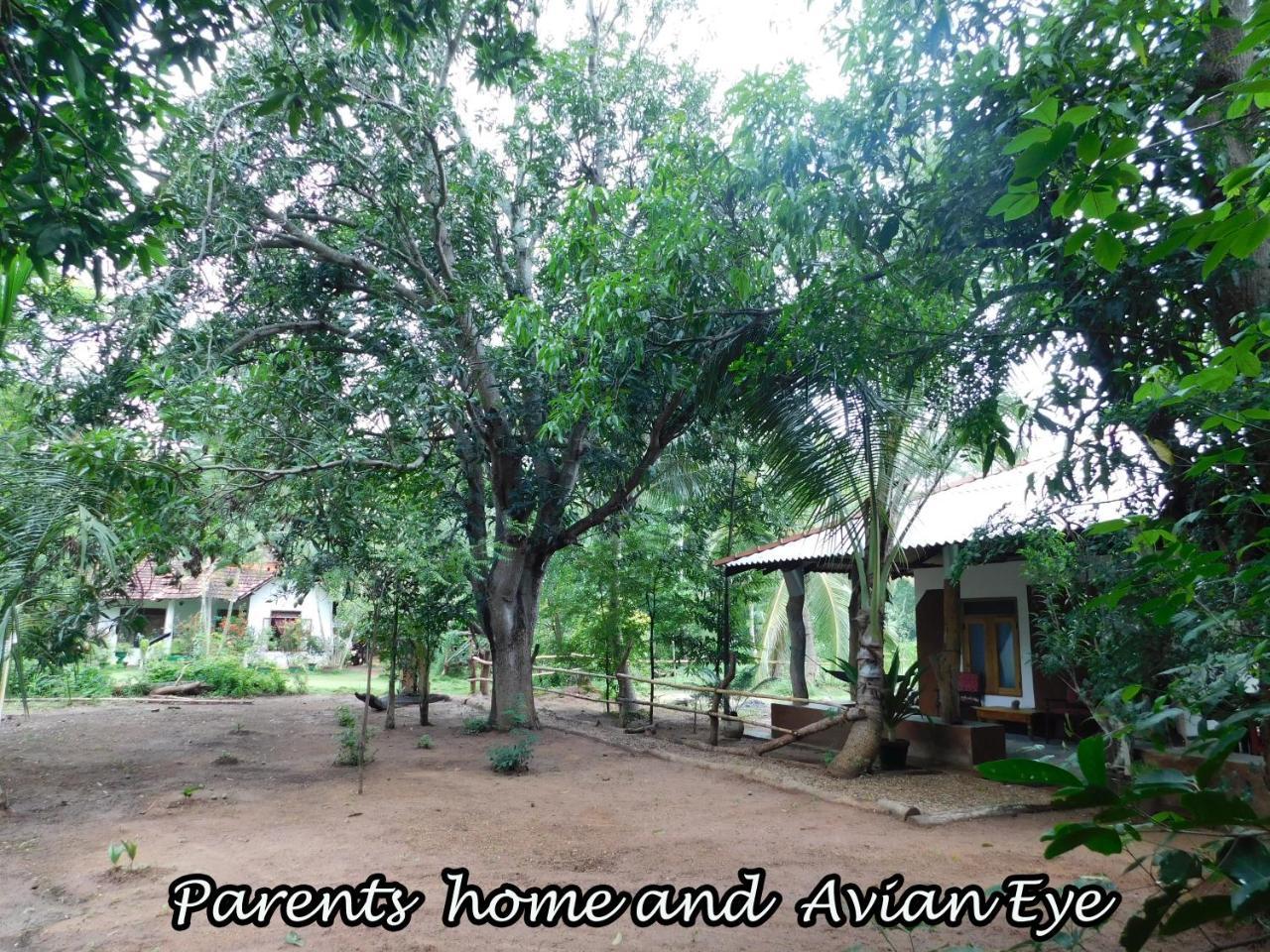 Yala Avian Eye Safari Appartement Buttala Buitenkant foto