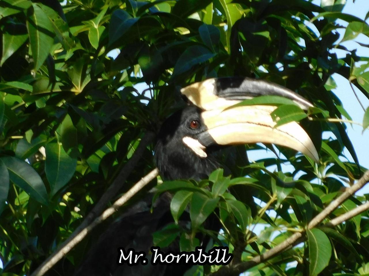 Yala Avian Eye Safari Appartement Buttala Buitenkant foto