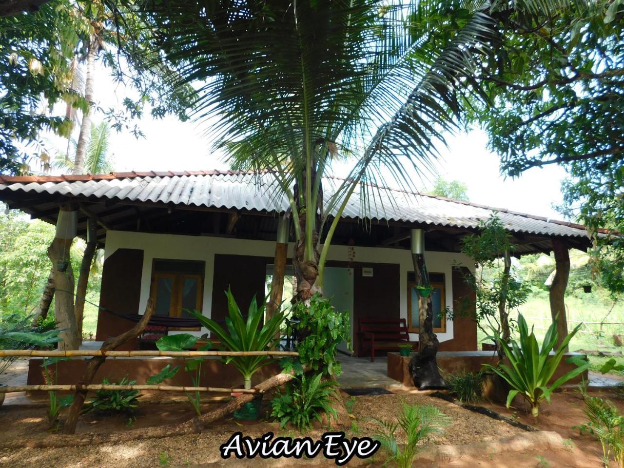 Yala Avian Eye Safari Appartement Buttala Buitenkant foto