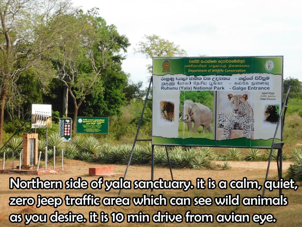 Yala Avian Eye Safari Appartement Buttala Buitenkant foto